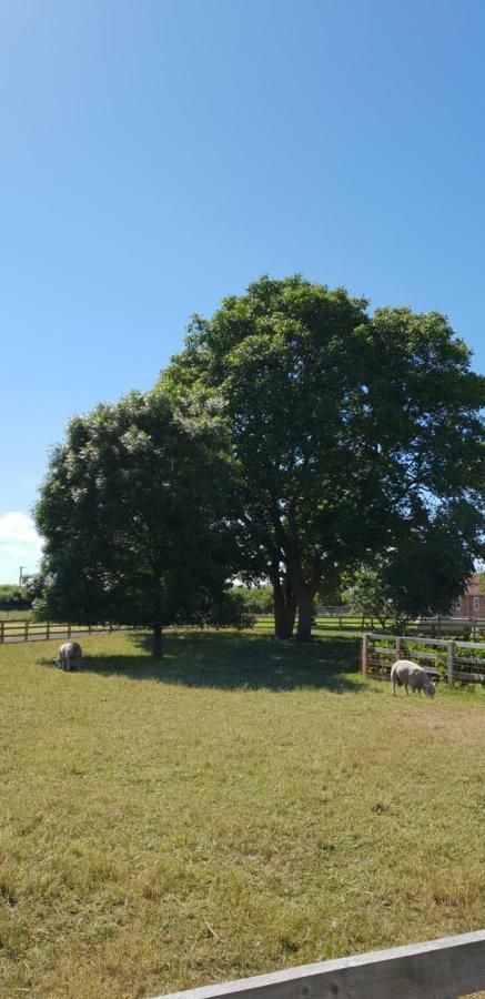 Villa The Piglets York Esterno foto